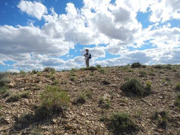 Researcher in the Colorado Plateau of western North America