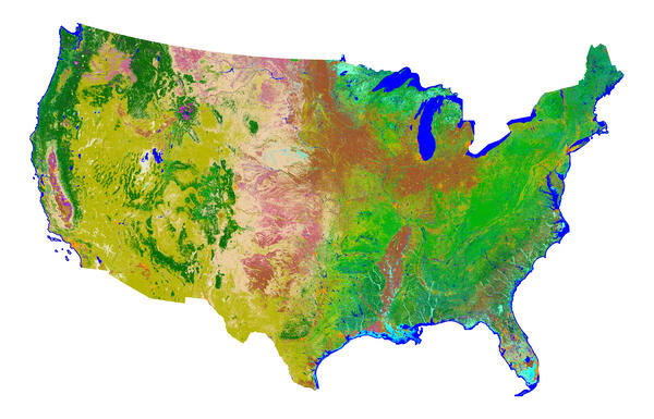 Color-coded image of United States's Land Cover