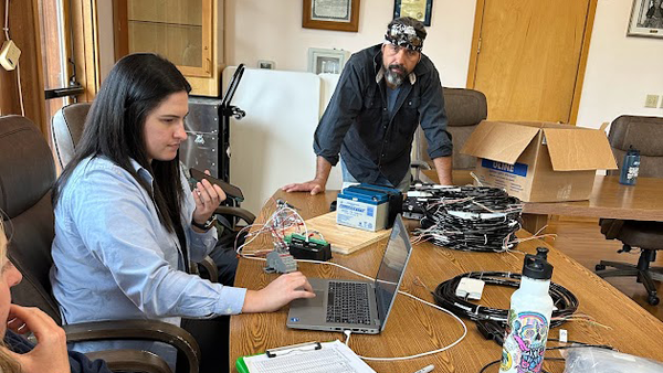 woman looking at computer