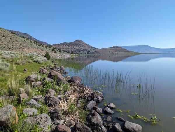 Looking down a rocky shore with dessert grasses and shrubs. Lake waters are lined with reeds. Blue sky reflects on water.