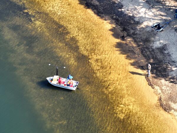 aerial view of small boat near pond shoreline