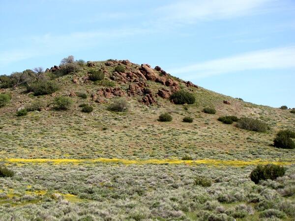 A small rocky hill is covered with pinkish boulders interspersed with sagebrush. In the foreground yellow flowers bloom.