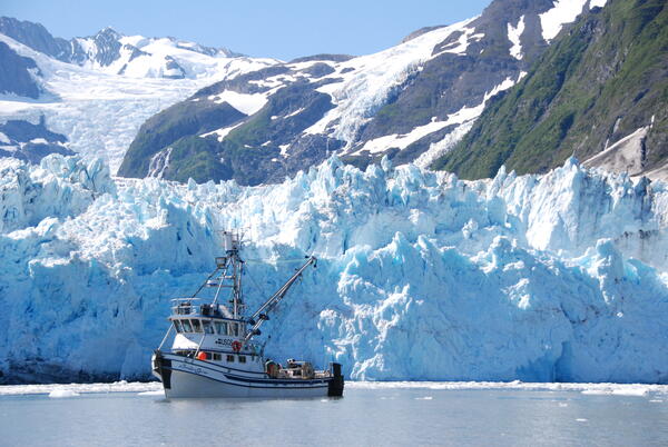 USGS research vessel in from of blue tidewater glacier. Green covered mountain in background with blue sky. 