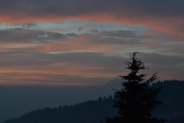 scenic sunset with red and purple tones and trees