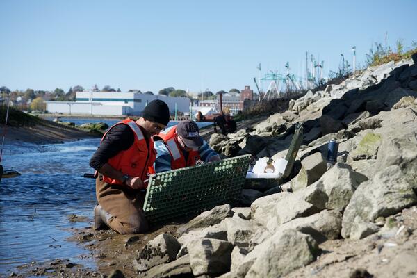 two scientists doing fieldwork on the coast
