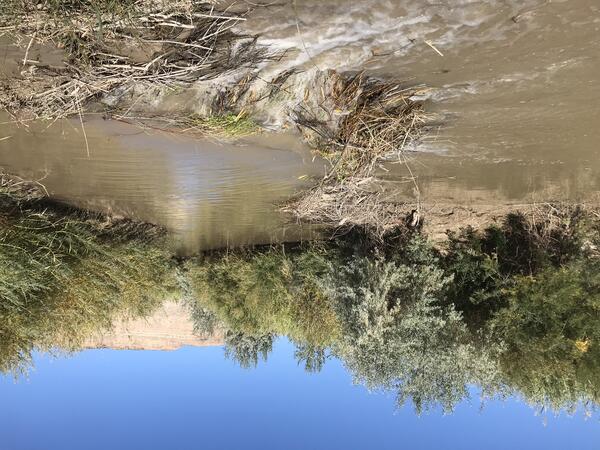 Beaver dam on the Prices River in Eastern Utah
