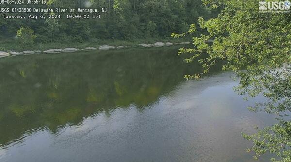 Looking out on the tree banked river from a high vantage point.