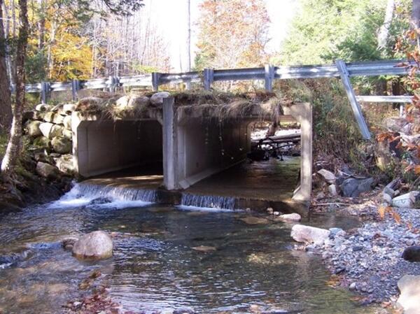 Two box culverts running under a road.