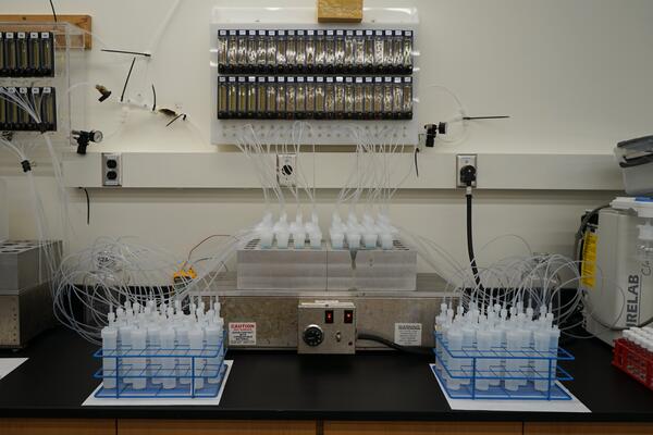 Water distillation equipment for methylmercury analysis