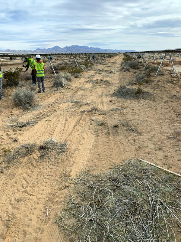 Vehicle tracks with crushed vegetation between solar panels and workers near the solar panels at the Gemini Solar Project