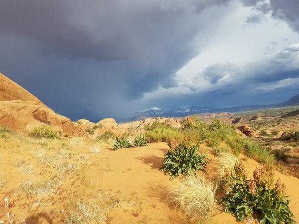Drylands near Moab, Utah