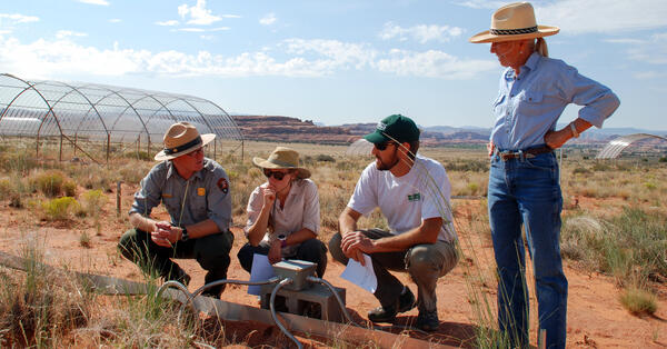 USGS and partners crouch and stand near a grassland experiment in Canyonlands National Park, Utah