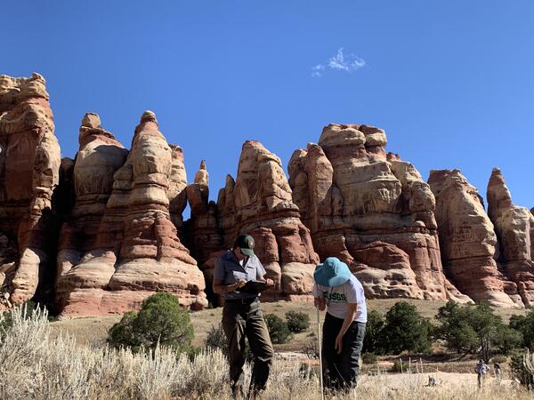 USGS and NPS staff make vegetation observations