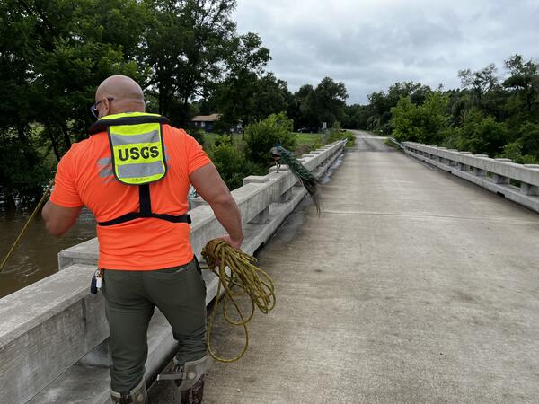 A water specialist measures floodwaters from a bridge while a peacock walks along the bridge railing nearby.