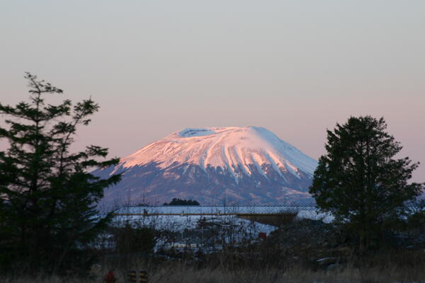 Snow capped volcano with water and trees in foreground.