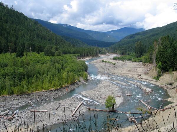 Photo of Elwha River near the Humes Ranch Area, showing large woody debris along channel