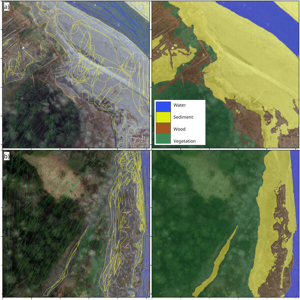 Example annotated orthoimagery of woody debris along the Elwha River