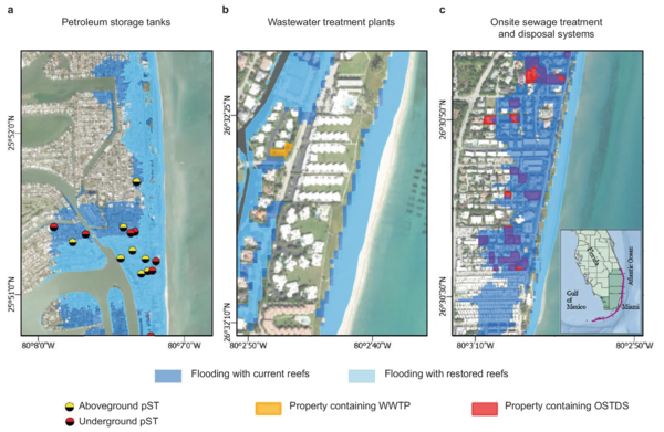 Diagram showing examples of environmental contamination risk reduction due to coral reef restoration in FL