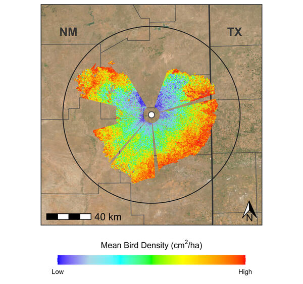 Map shows mean bird stopover density during spring 2025 at the FDX radar at Cannon Air Force Base in New Mexico.