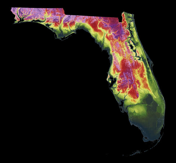3DEP As Art - Florida