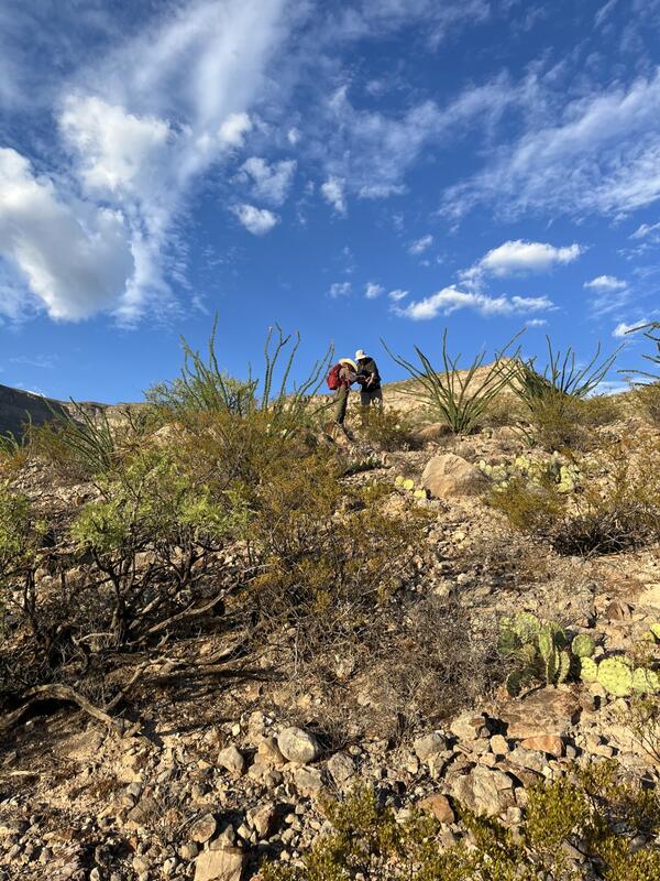 Two people standing in a desert/rocky landscape with low vegetation and several cactii. 