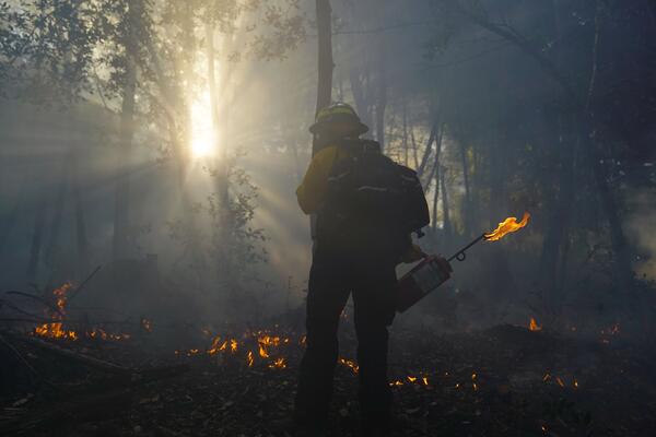 sun shinning through forest on fire with firefighter in front