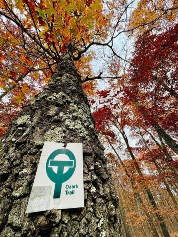 Fall Along the Ozark Trail in Missouri