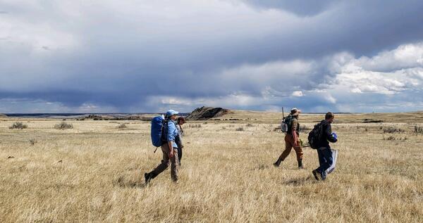 Four researchers walking across grassland