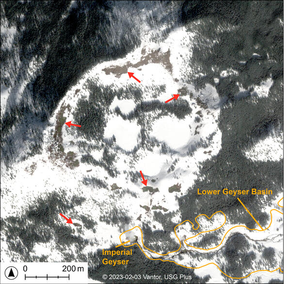 Area of snowy and tree-covered ground, with scattered occasional bare patches of brown soil