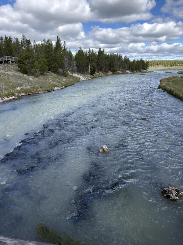 River with milky blue-green color mixing with normal dark blue, and some trees along the grassy banks under partly cloudy sky