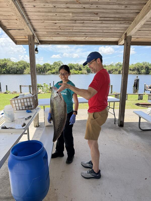 two people stand near water as they prepare to preserve a large clown knifefish in a large blue jug that sits nearby