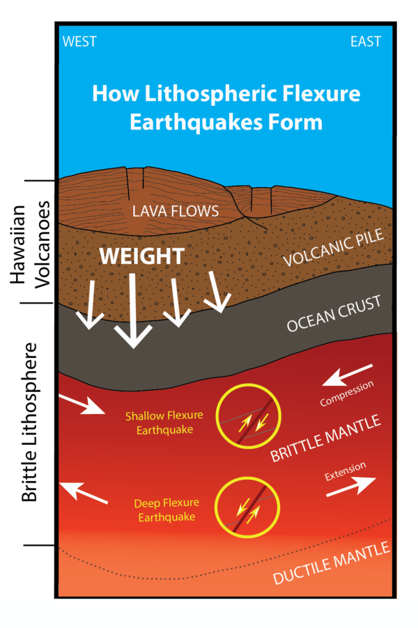 Color cartoon graphic showing how the weight of an island on a tectonic plate can contribute to earthquakes