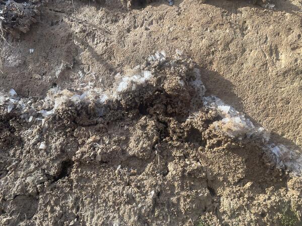 Ice crystals in the soil