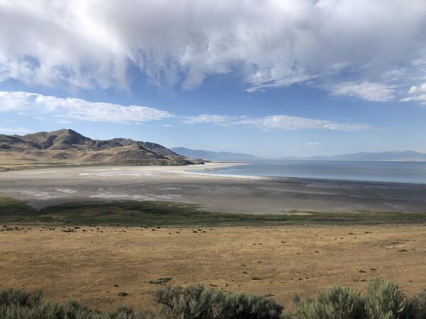 rocky, vegetated shoreline of a lake in an arid environment. The water is calm and reflects the low, brown hills