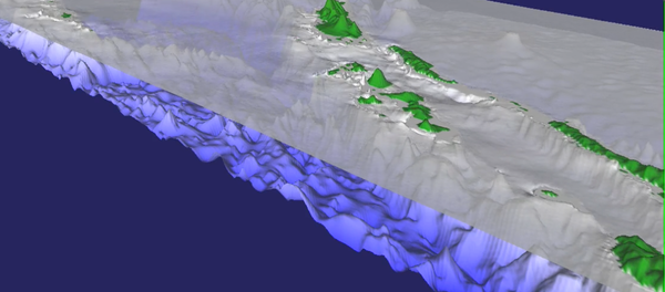 Screenshot from the preliminary simulation of the tsunami from the April 2007 M=8.1 earthquake in the Solomon Islands