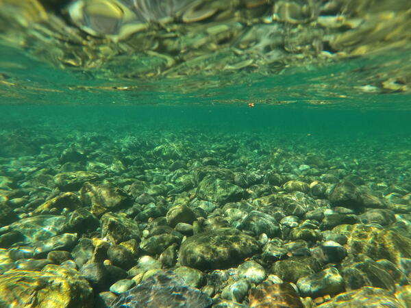 underwater view of river cobbles. Light from the surface illuminates green-blue water