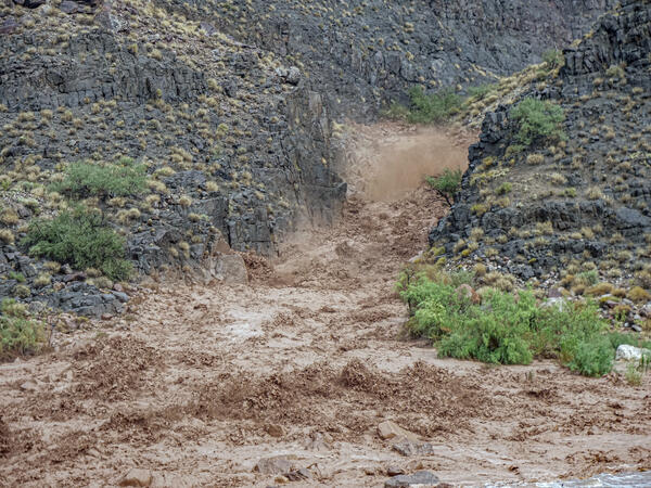 Muddy flash flood waters rush down a desert canyon during a rainstorm