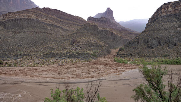 A flash flood moves rapidly down a canyon carrying sediment and debris into the Colorado River during a storm