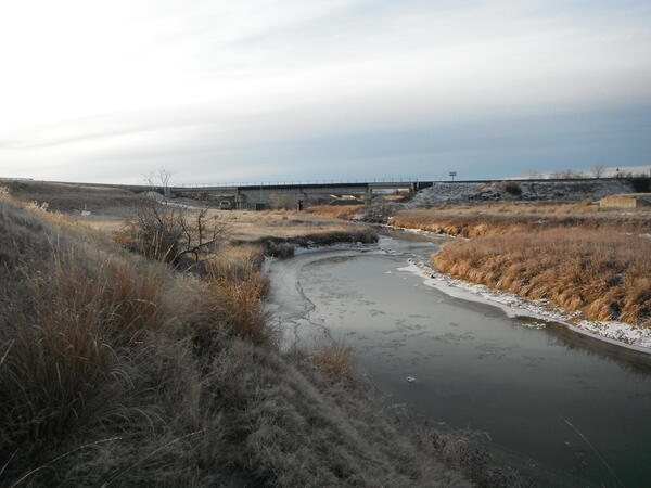 A view of Muddy Creek. Ice hovers around the edge of gray water. Brown grass shimmers in sunlight. 