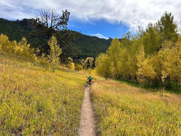 A child riding a mountain bike on a trail in Golden Gate State Park in Colorado amidst the vibrant yellow colors of fall.