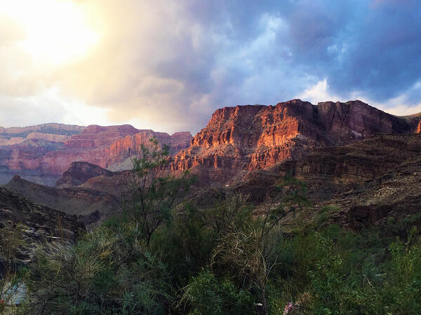 Sunshine mixes with sunset colors and brightens the red canyon walls in Grand Canyon, with riparian trees in the foreground