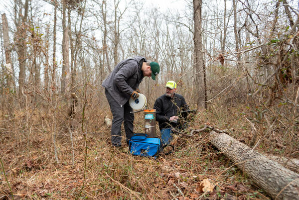 In a forest, one person measures a groundwater well while the other one inputs data into a laptop.