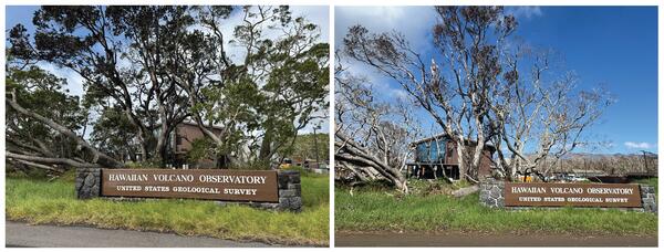 Color photographs of vegetation changes near a brown wooden sign