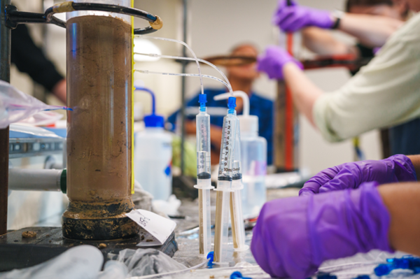 Close-up photo of pore water extraction from a surface marine sediment sample 