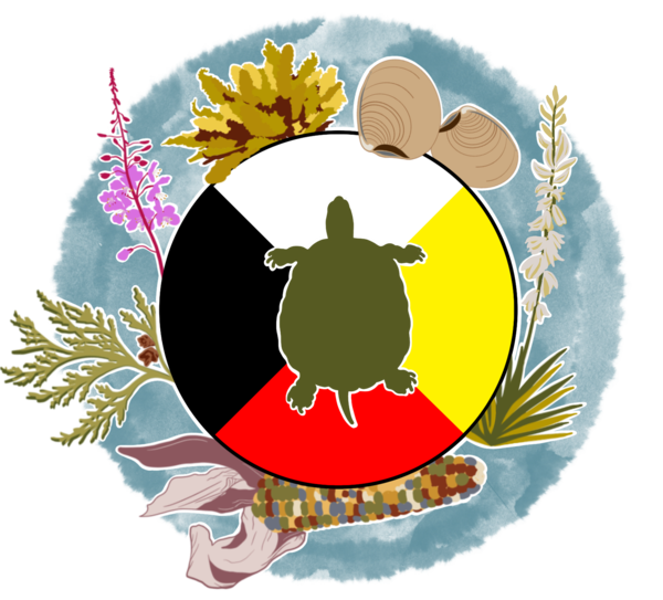 Image of a green snapping turtle within a medicine wheel, surrounded by a wreath of plants important to Indigenous cultures