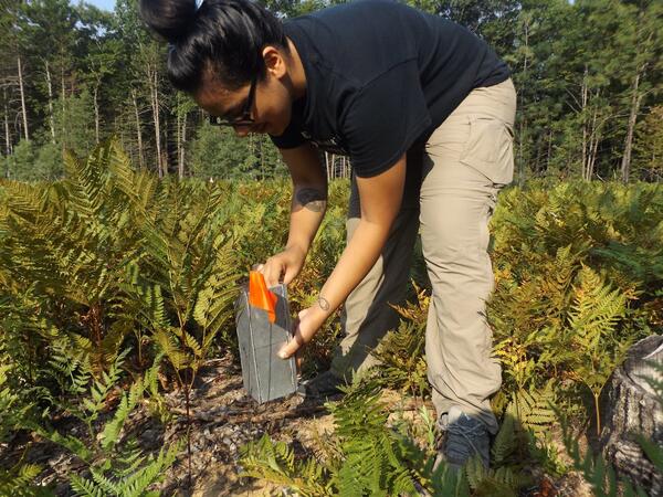 Mari Rodriguez, NCASC