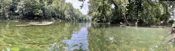 North Fork of the Shenandoah River during an algal bloom