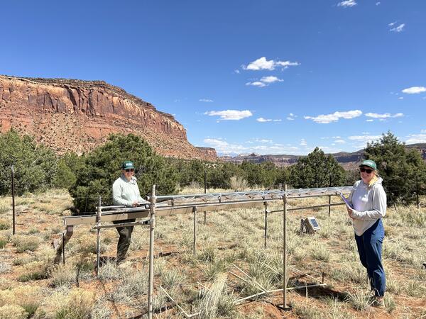 Two people stand near a drought simulation plot