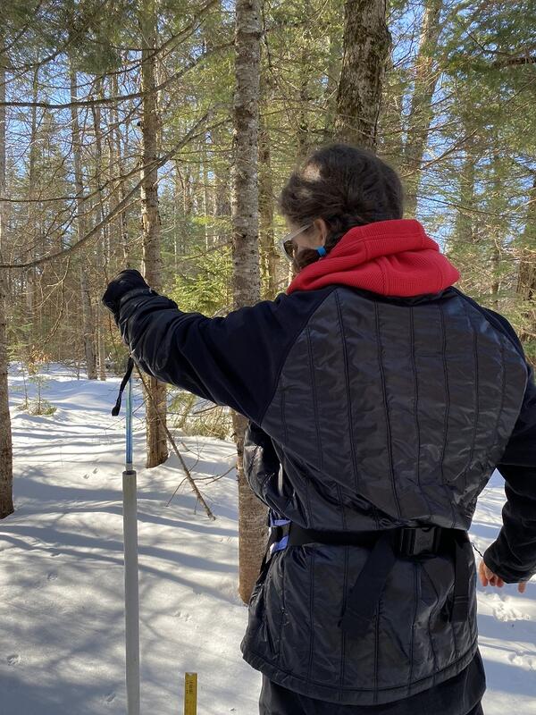 Pulling up a blue tube out of a white PVC pipe in the ground in the winter.