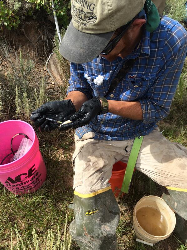 graduate student scrubbing algae off ceramic tiles